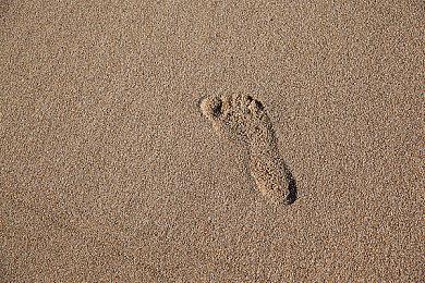 CDPR首席设计师称现在3A游戏难做 成本高还复杂